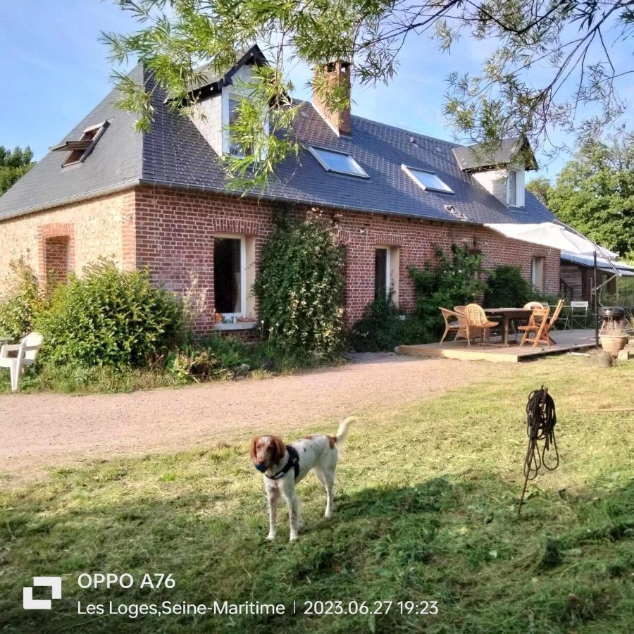 Une Chambre Dans La Verdure Bordeaux-Saint-Clair Dış mekan fotoğraf